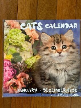 NWT Cats Calendar 2026 - Cute Brown Tabby Kitten